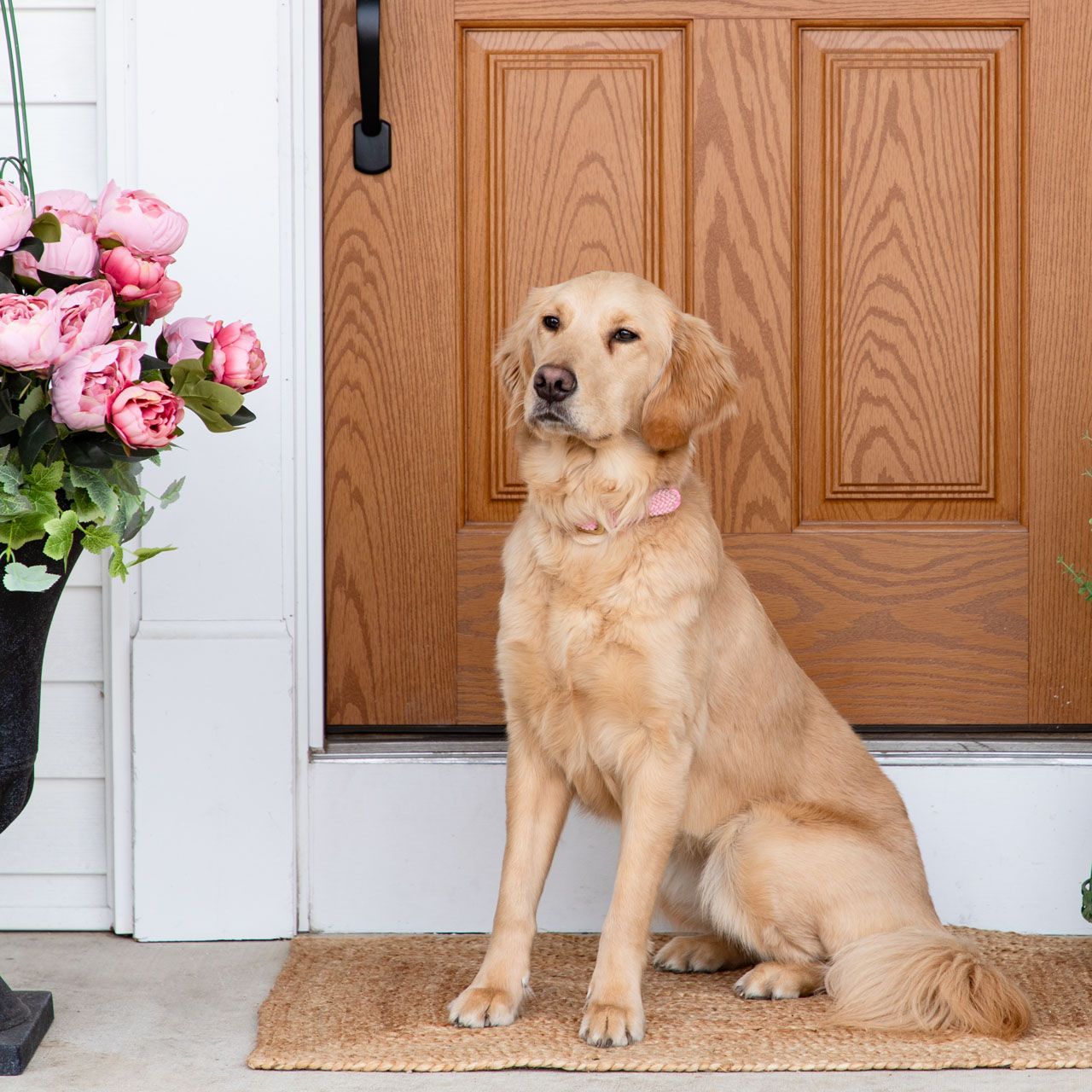 A Blooming Porch Scene from Photo Shoot