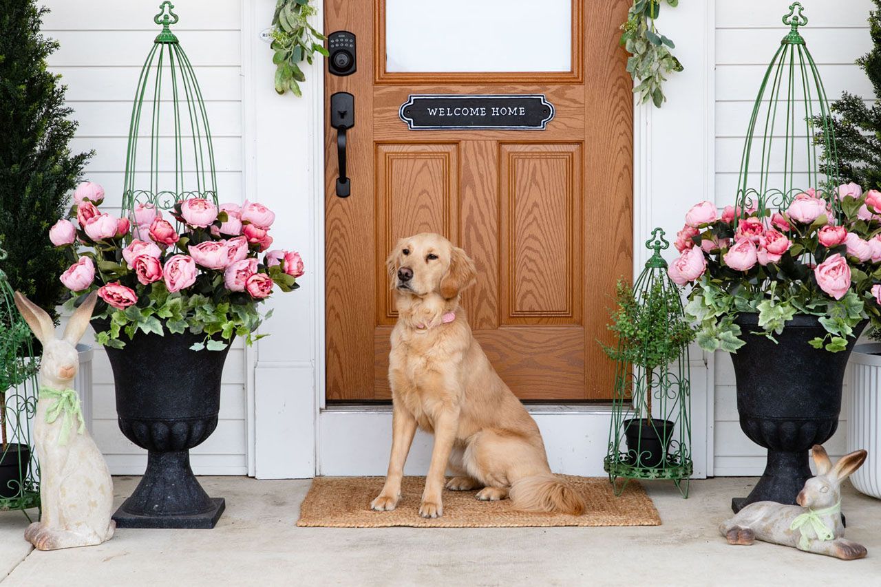 A Blooming Porch Scene from Photo Shoot