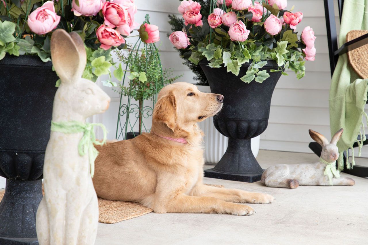 A Blooming Porch Scene from Photo Shoot