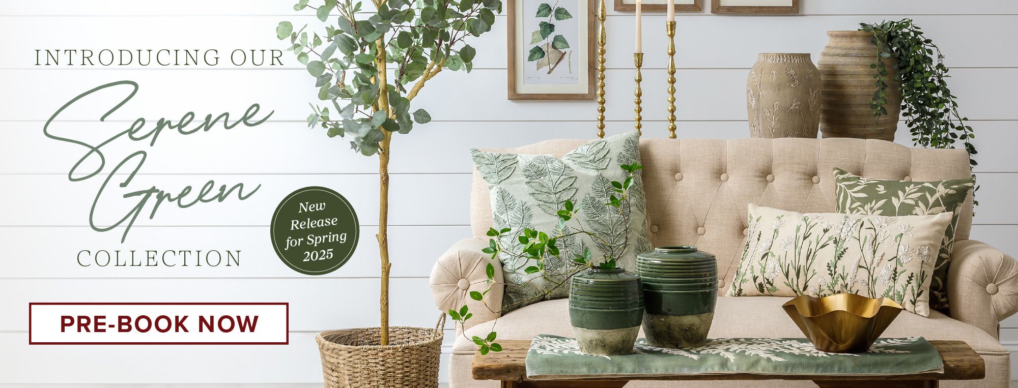 Introducing Our Serene Green Collection