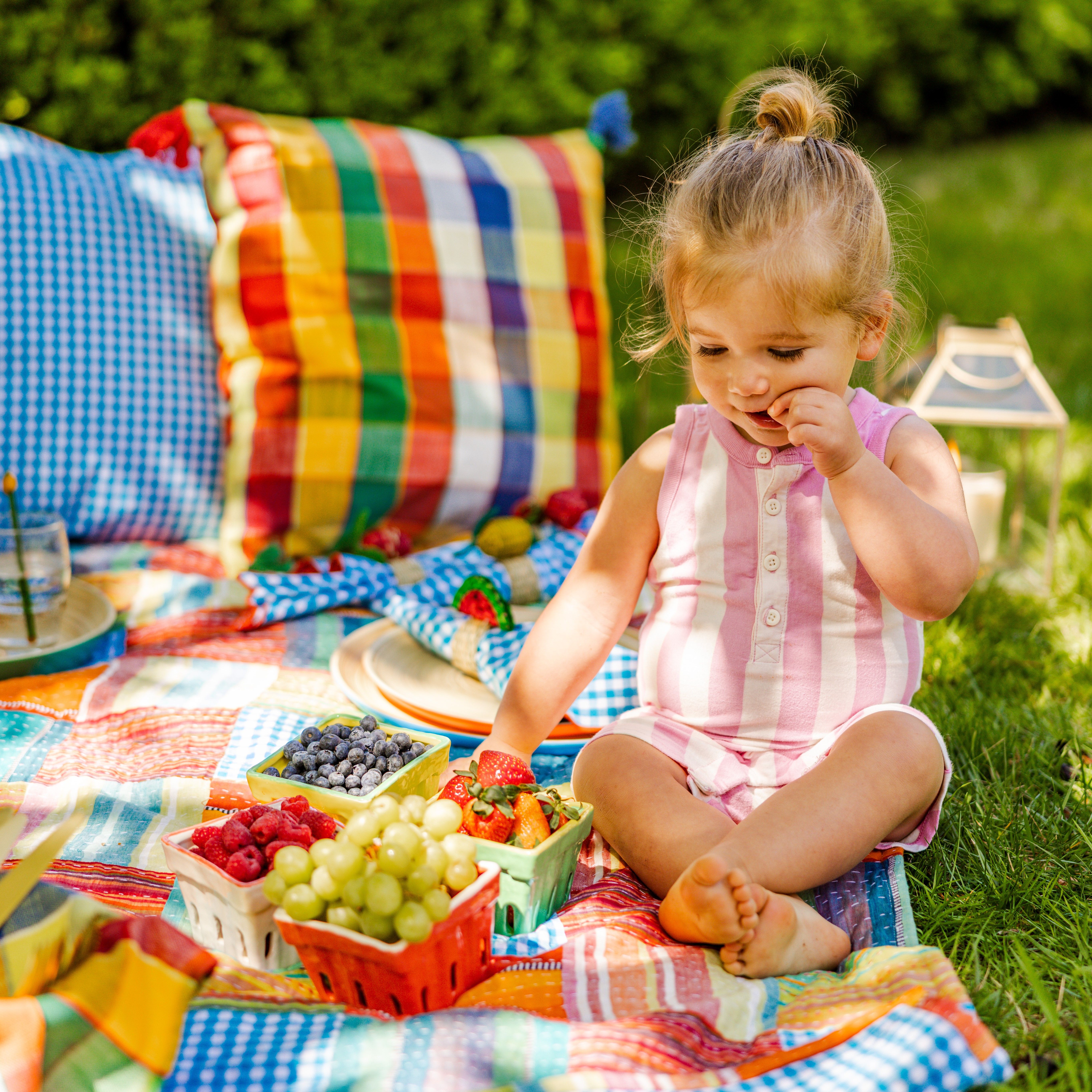 Plaid Picnic