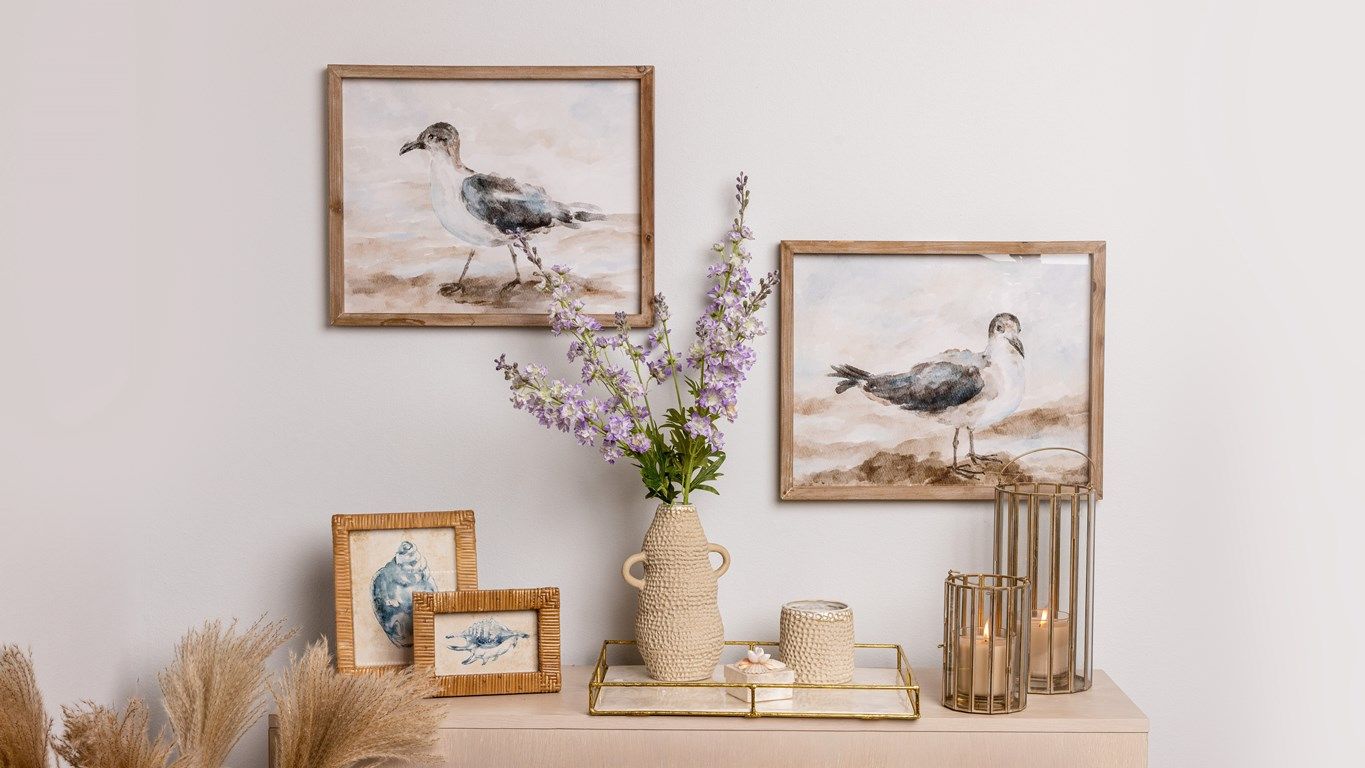 She Sells Seashells Collection Image