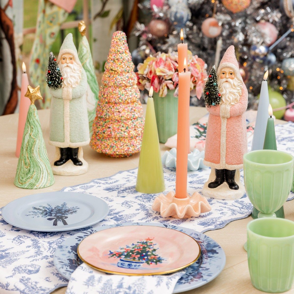 Palm and Pine Collection