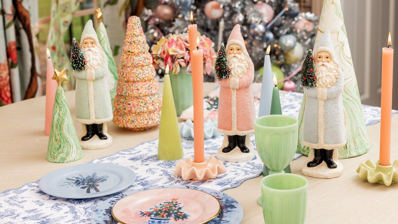 Palm and Pine Collection Image