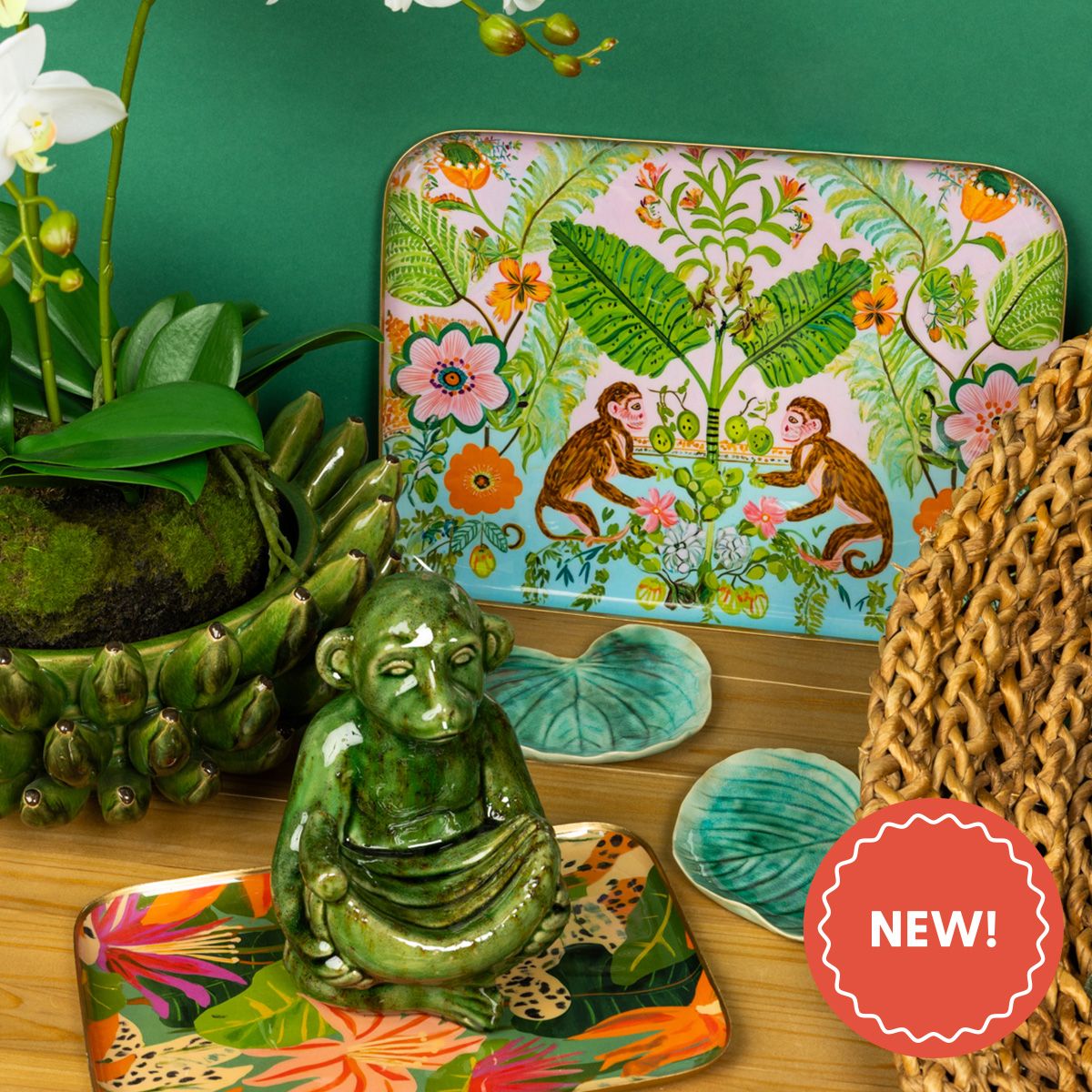 Lotus Dream Collection Image