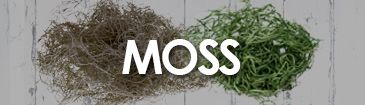 DRIED MOSS