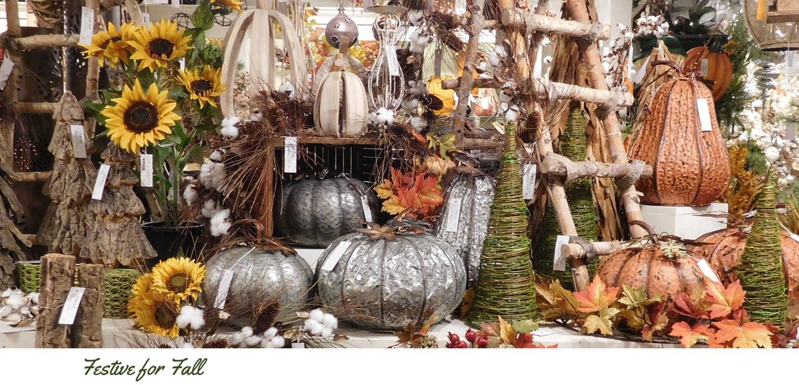 Festive for Fall