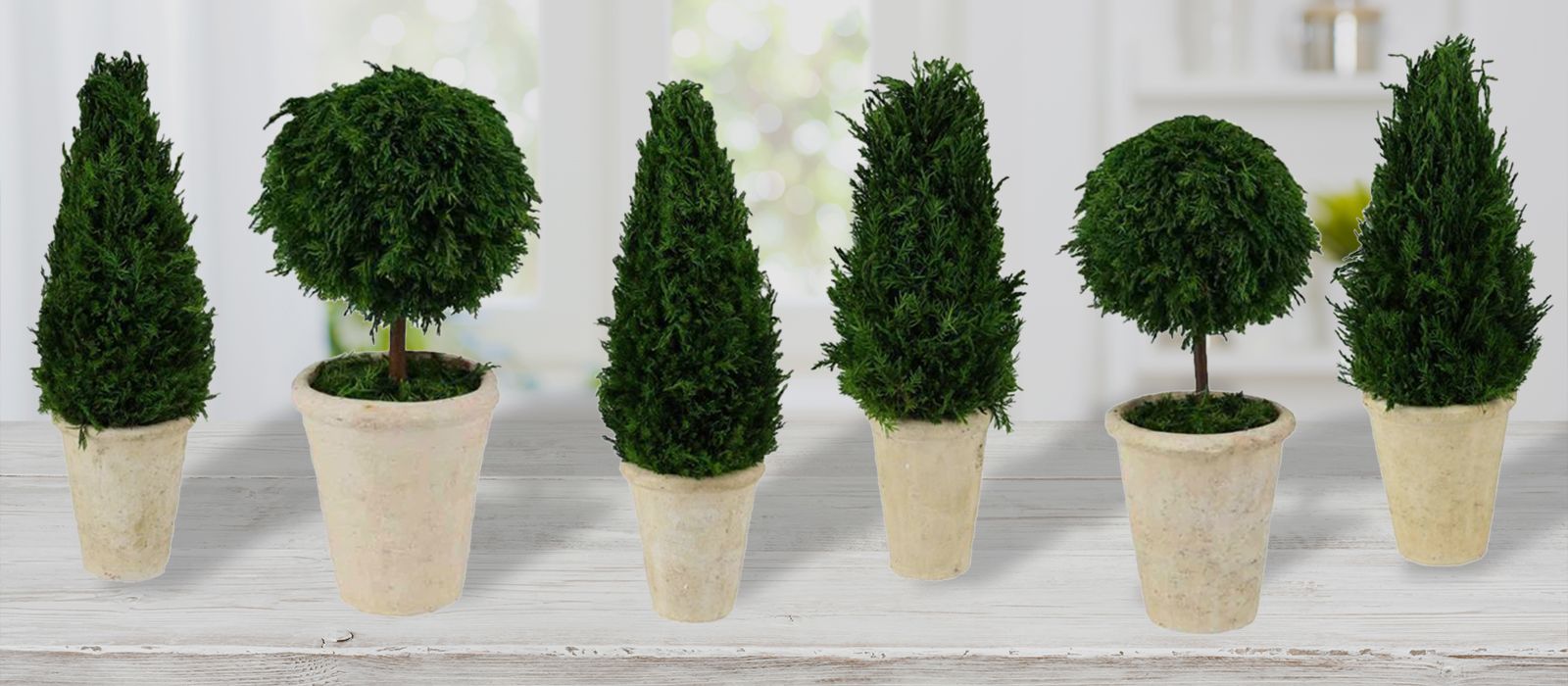 Wholesale Florist Supply Company