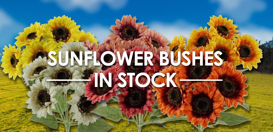/shop/?Search=SUNFLOWER%20BUSH&orderBy=Featured,Id&context=shop