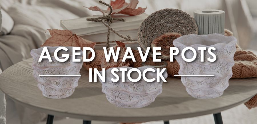 /shop/?Search=AGED%20WAVE&orderBy=Featured,Id&context=shop