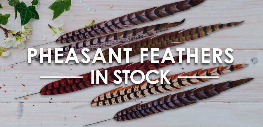 /shop/?Search=pheasant%20feather&orderBy=Featured,Id&context=shop