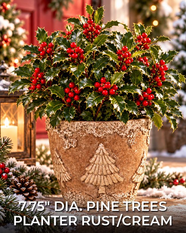 /shop/MX127764