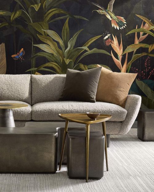 Latest Introductions