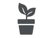 Long Lasting Fragrance Plant Icon