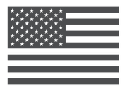  American Flag Icon
