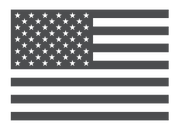 American Flag Icon