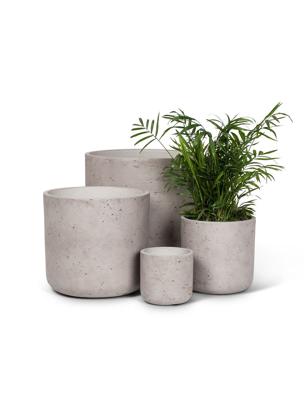 Cement Planter Collection