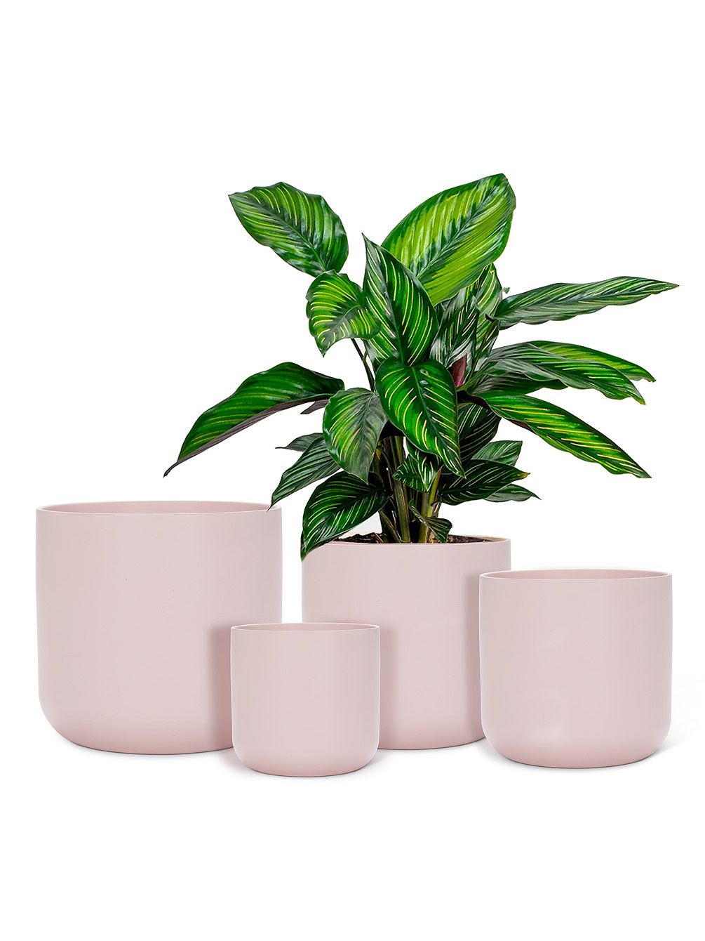 Portugese Stoneware Planters