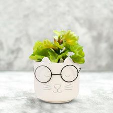 https://www.abbottcollection.com/shop/?MainCategory=Trending%20Now&SubCategory=Bestsellers&orderBy=Featured&context=shop&page=1