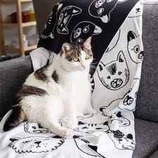 Un chat assis sur une couverture avec le motif chat
