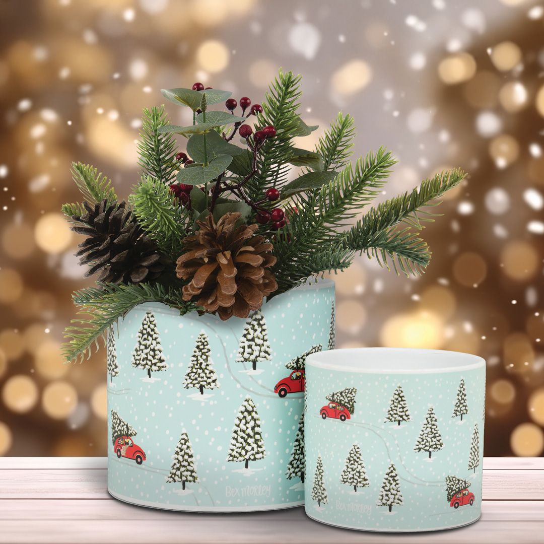 Put the final touches on your Christmas displays with our marvelous Holiday Collection! With Christmas around the corner, our seasonal products are selling quickly. Order now and spread some holiday cheer! 🎄❄️⛄️🎅⁠