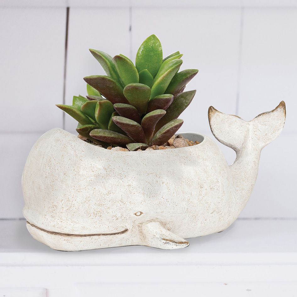 Sailors and landlubbers alike will be head over fins for our delightful whale décor! From planters to soap dishes, these items will add nautical charm to your shop. 🐳🐋💙🤍
