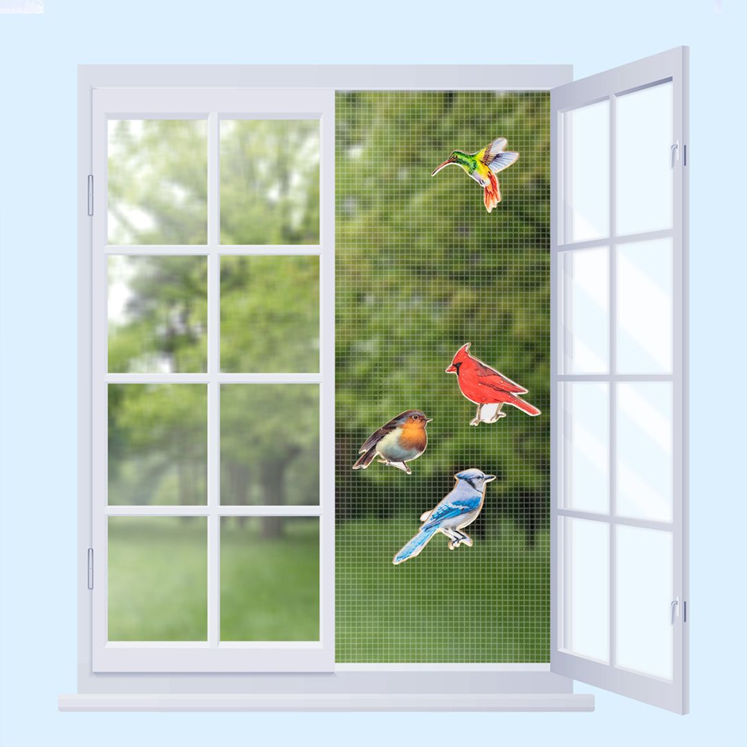 Attract positive attention to screen doors & windows with our double-sided metal magnets! Available as colourful butterflies, birds, dragonflies and more, these strong magnets can be used as decoration or to cover small imperfections. 🦋🐦‍⬛💚🩷💜🩵⁠