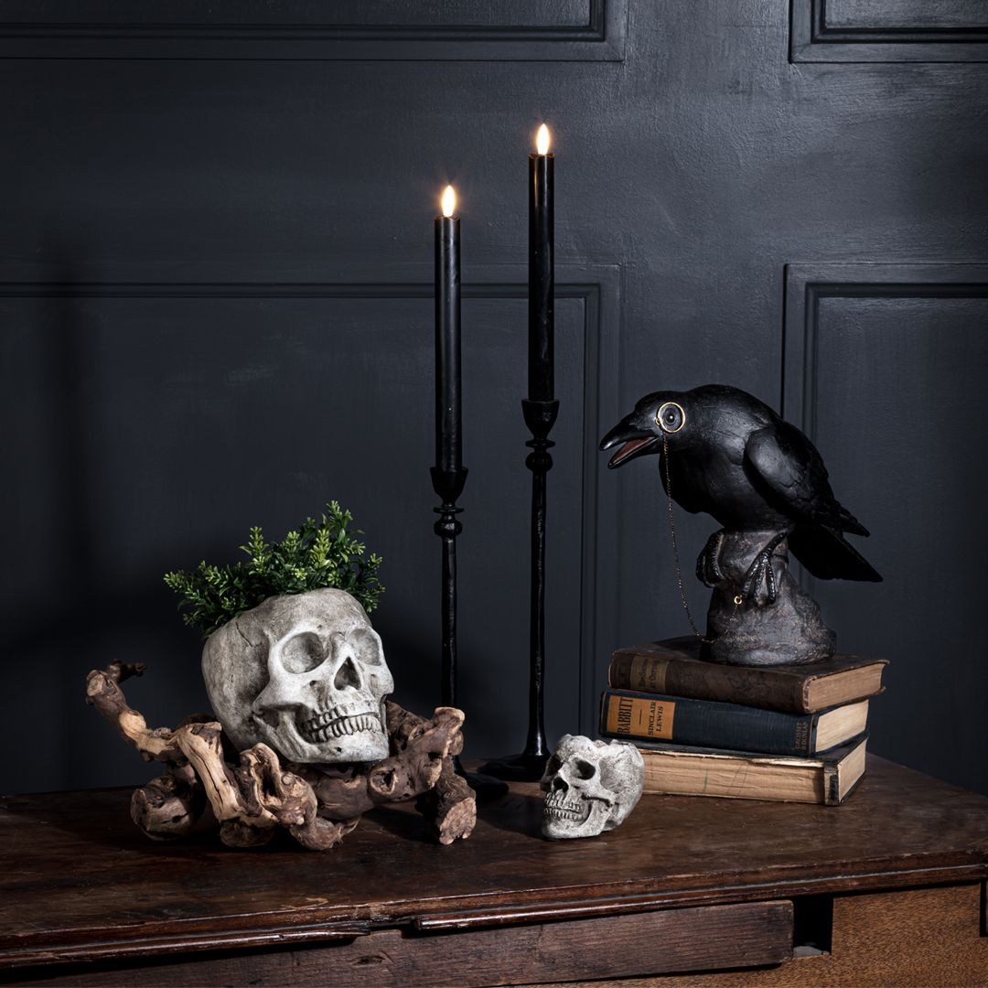 Create an extra spooky atmosphere for Halloween with our frightful décor & accessories! Our selection of ghoulish products will create a delightfully scary atmosphere in your shop. 🐦‍⬛💀☠️🖤🩶⁠