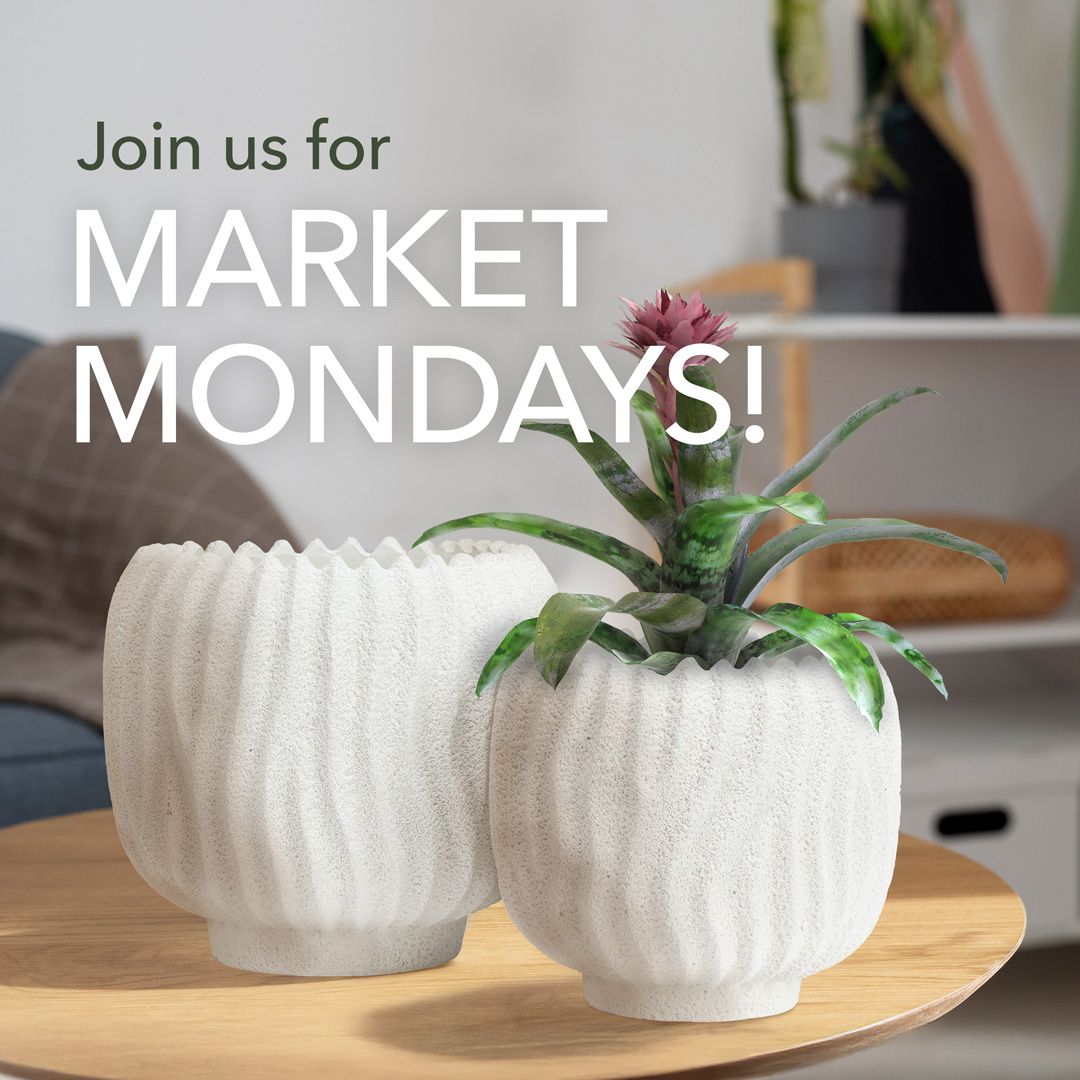 Join us at the Abbott showroom for Market Mondays! We're open each Monday from 9am to 4:30pm, so drop by to shop in person: you can view new products, get inspired by our displays, and place orders on the spot. No appointment necessary! Hope to see you soon 🤍💛🤍💛⁠