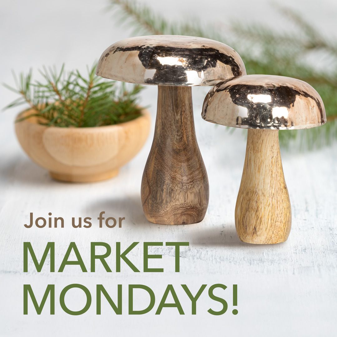 Join us at the Abbott showroom for Market Mondays! We're open each Monday from 9am to 4:30pm, so drop by to shop in person: you can view new products, get inspired by our displays, and place orders on the spot. No appointment necessary! Hope to see you soon 🤎💚💛🤍⁠