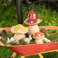 Des champignons décoratifs