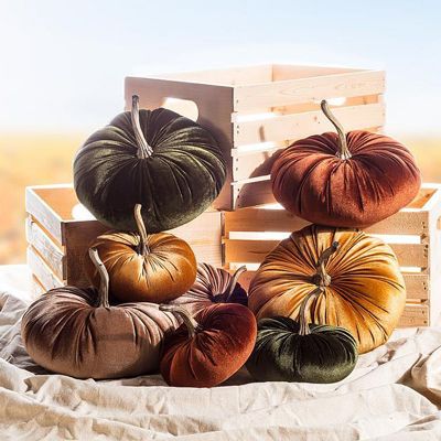 velvet pumpkins