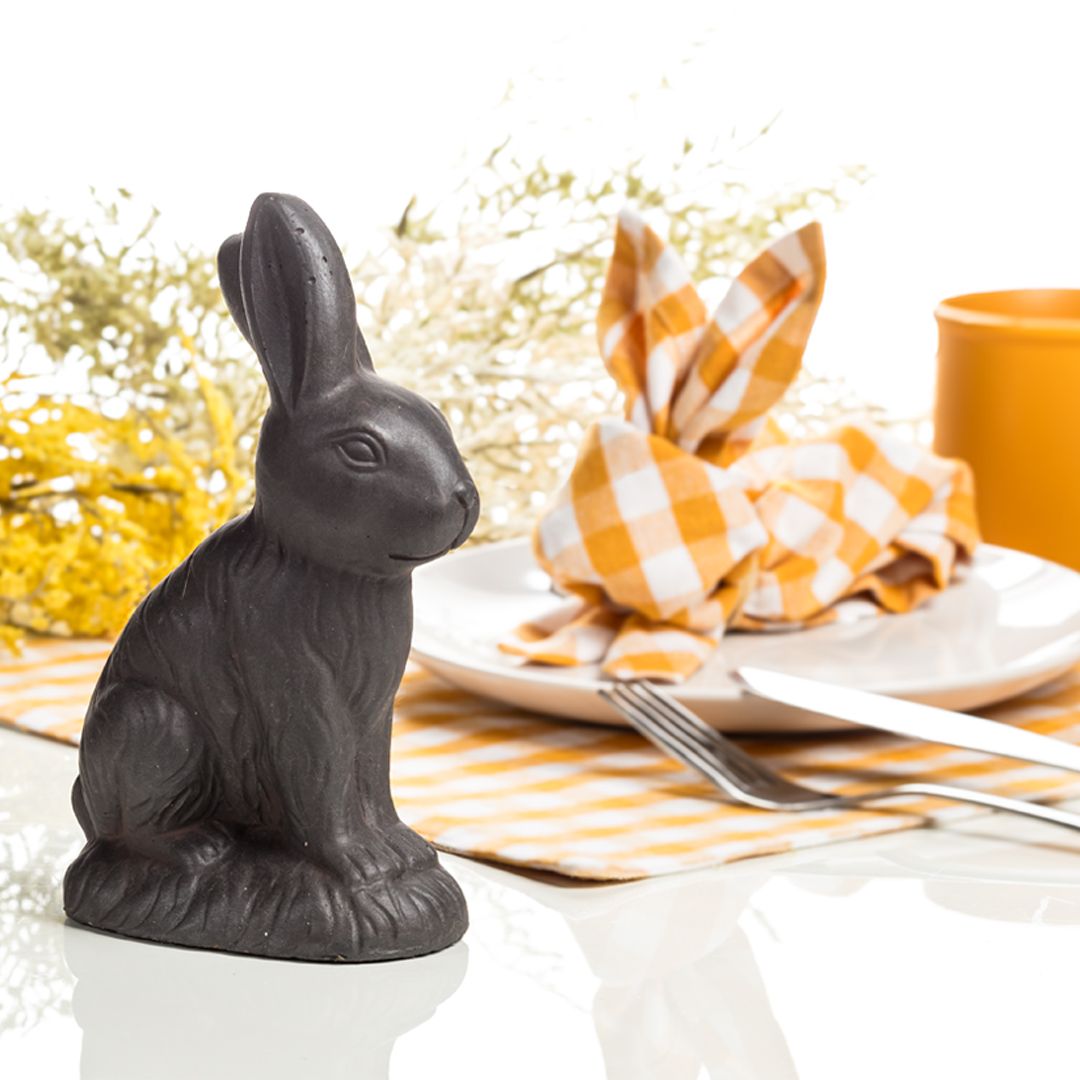 Hop into Easter fun with our bunny-themed products! We have fabulous décor, kitchenware and accessories for every-bunny. 🐰🐇🥚💛🩶⁠