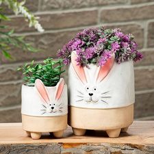 Bunny planters