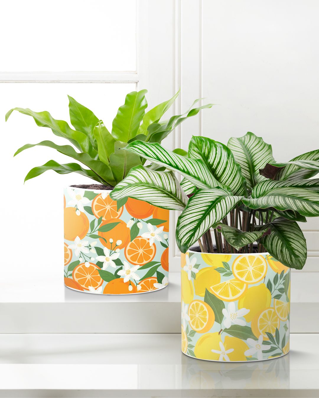 Embrace the green thumb lifestyle with our Summer Planters! From soft hydrangeas and nostalgic chintz to vibrant citrus prints, our collection offers a planter for every personality, and plant! 🍋🍊💙💚⁠