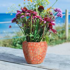 Strawberry pot