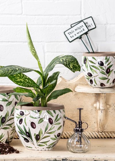 Des Jardinières décoratives