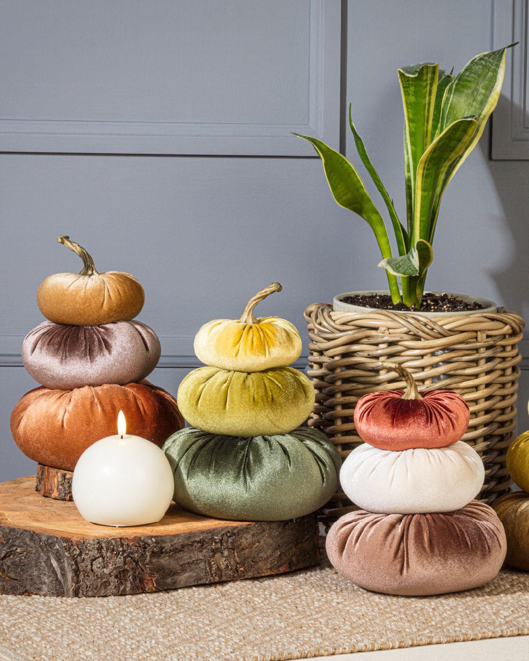 Stock up for sweater weather with our gourd-geous pumpkin products, including planters, décor and tableware that are ripe for picking. In stock now! 🎃🎃🎃⁠