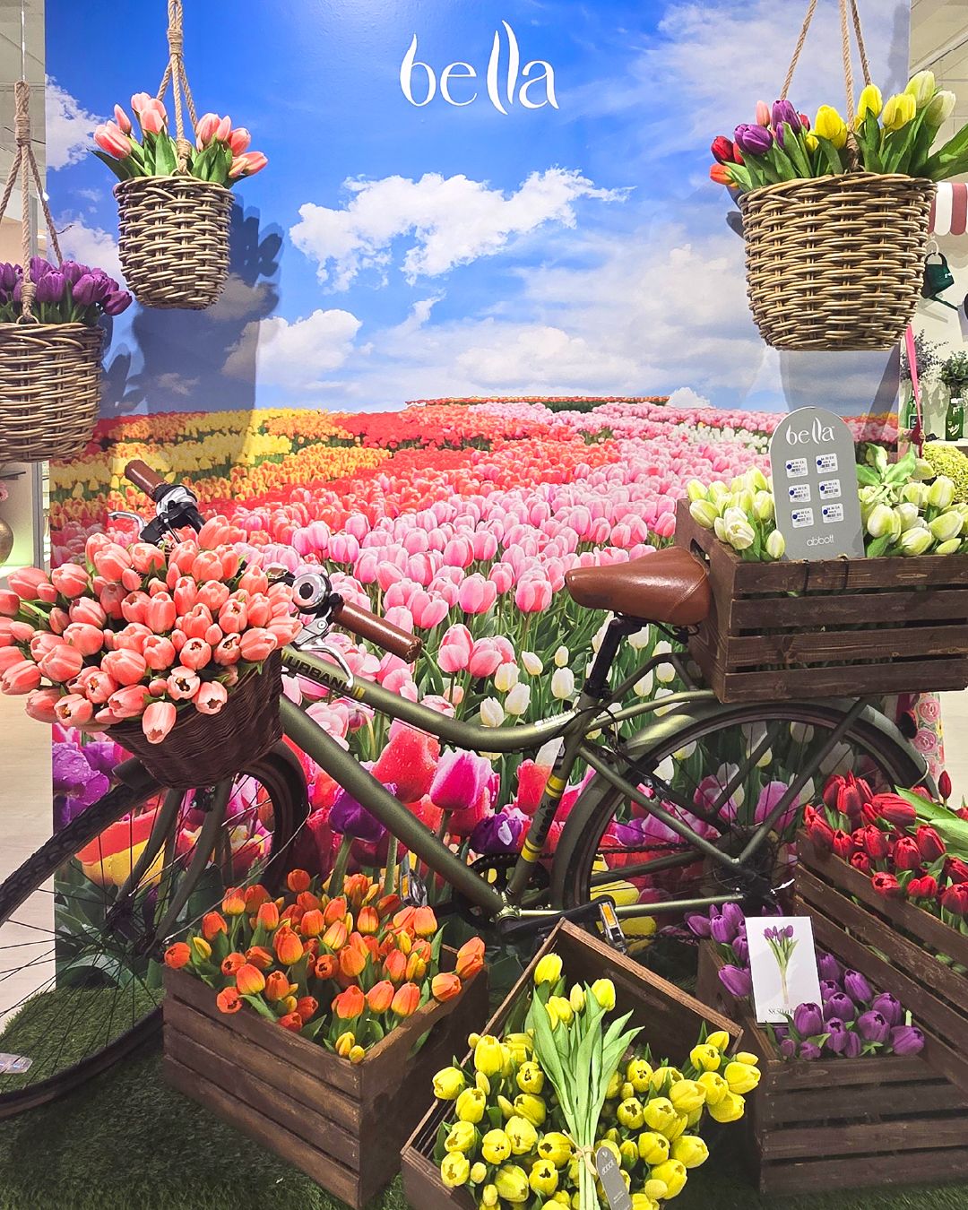 Want to shop in person? Visit our showroom! We’re open Mon to Thurs from 9:00am - 4:30pm. Plus, place your 2026 Spring order before October 31st for discounts, dating and freight deals. No appointment required!