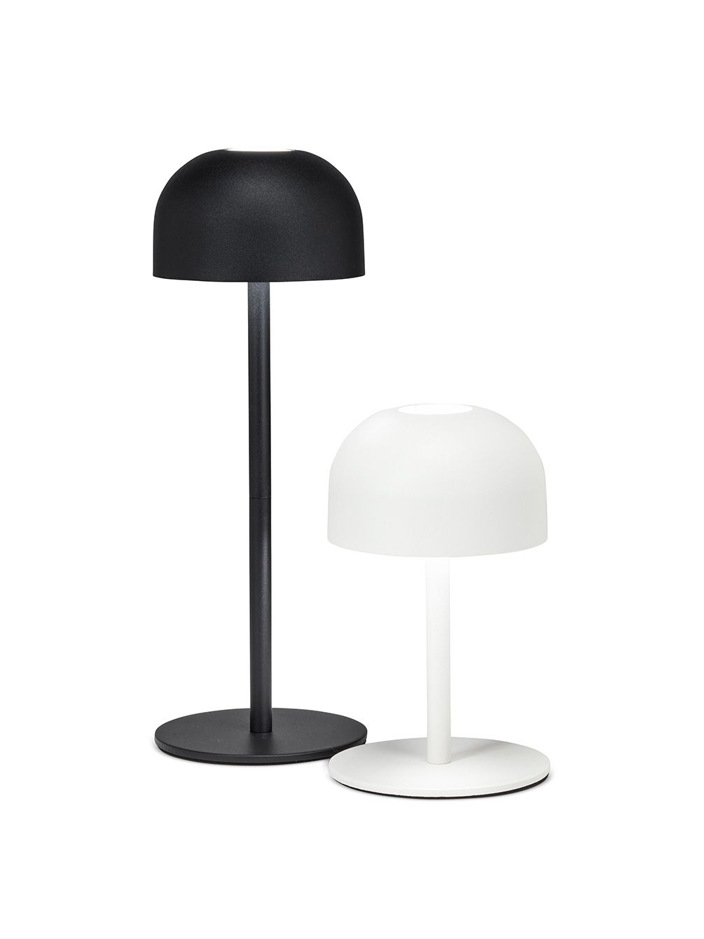 LED Lamps: Moonlite