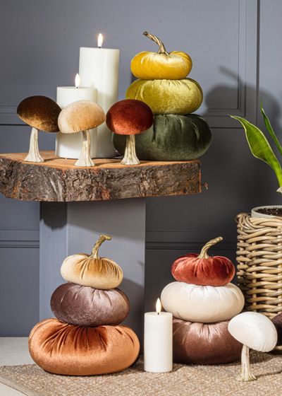 Des champignons et citrouilles