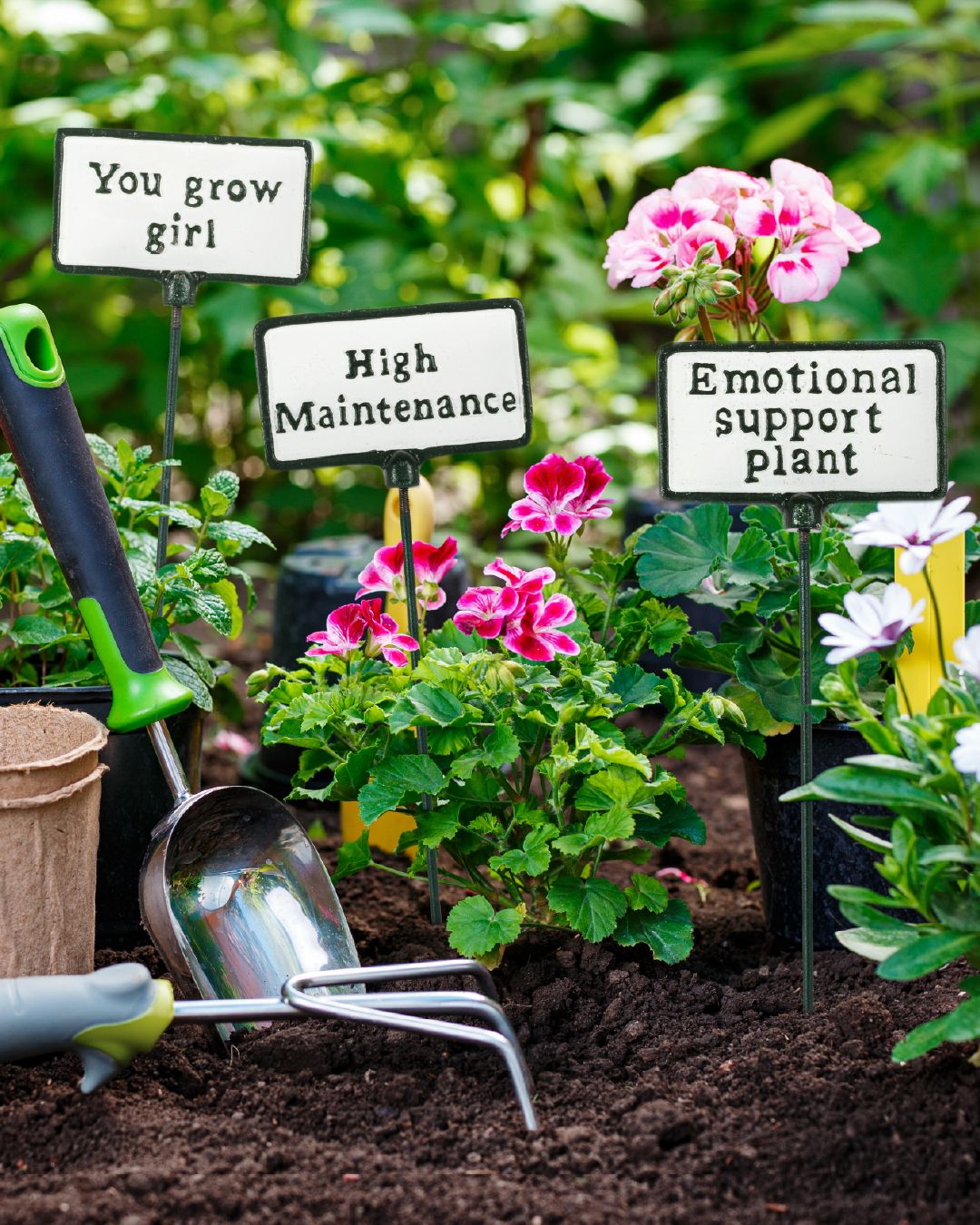Dig into fun with our handy garden accessories! From animal pot hangers to fun plant signs, these items add character while keeping your beautifully manicured garden looking tip-top all season long. ✨️🌿🪻⁠