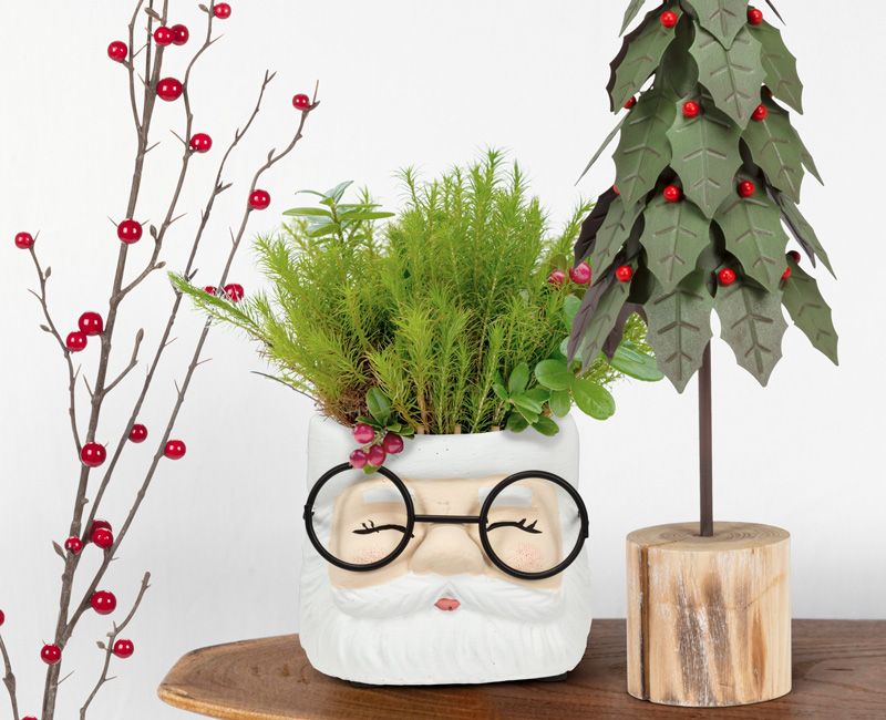 Santa and trees decor