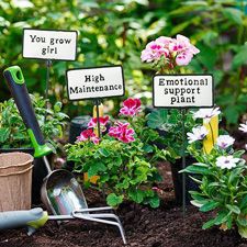 Plant signs