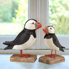 Puffins