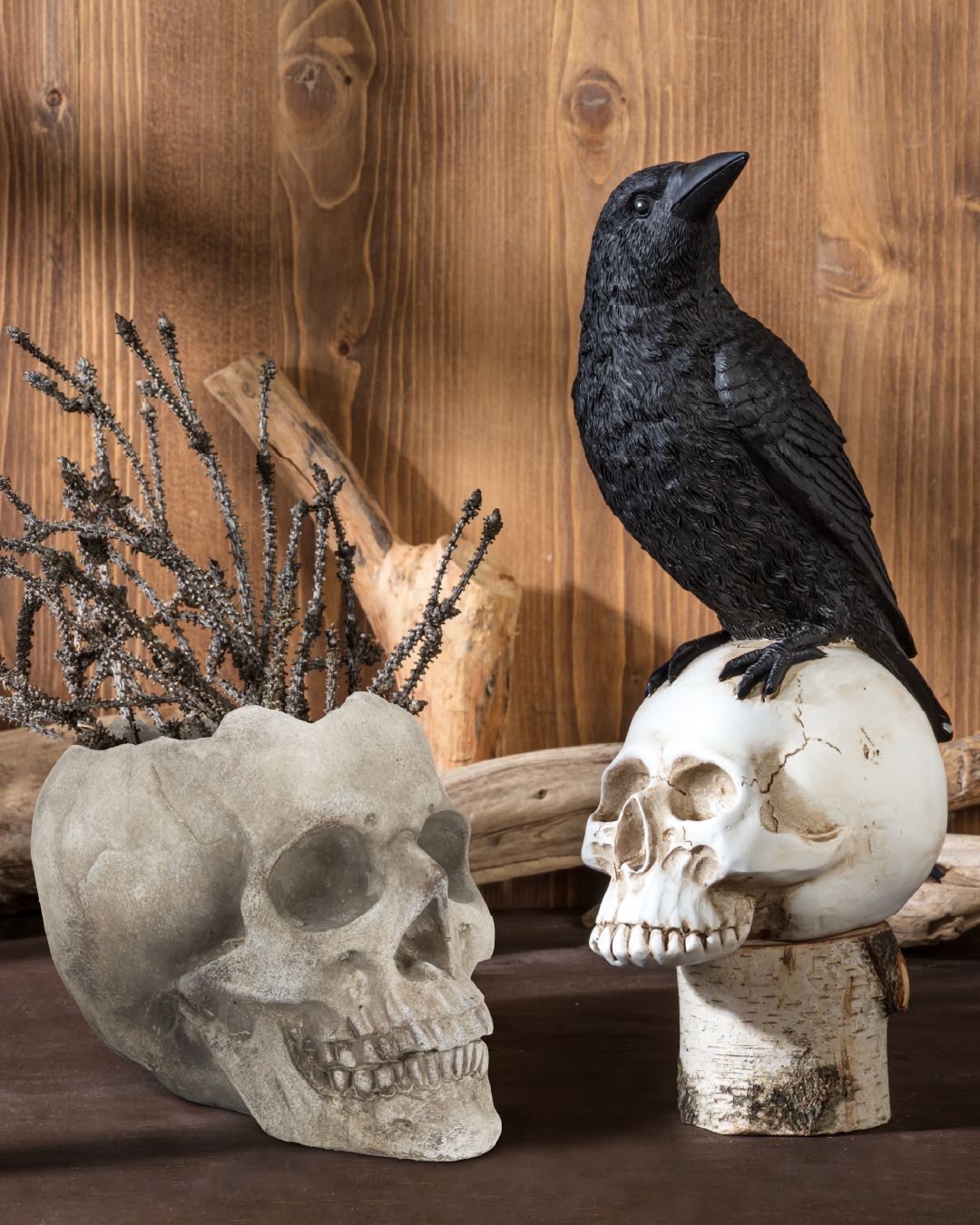 Discover our collection of haunting halloween décor, accessories & more! Creep it real with our spooky skulls, Jack-O-Lantern pens, standing crows and hanging snakes. 💀🐦‍⬛☠️🐍⁠