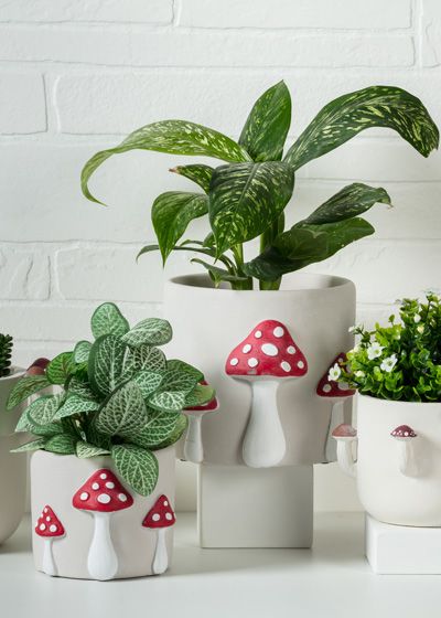 Jardinières en forme de champignon