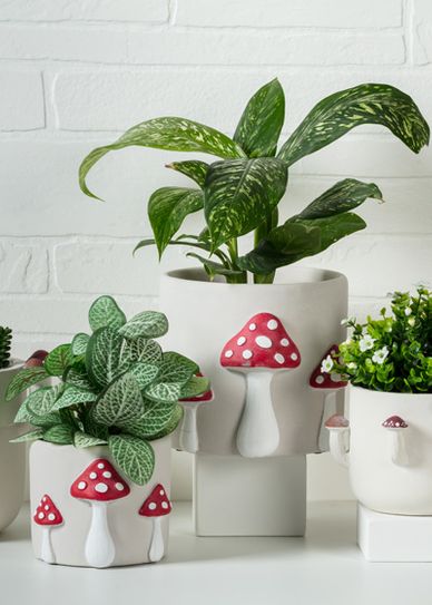 Mushroom planters