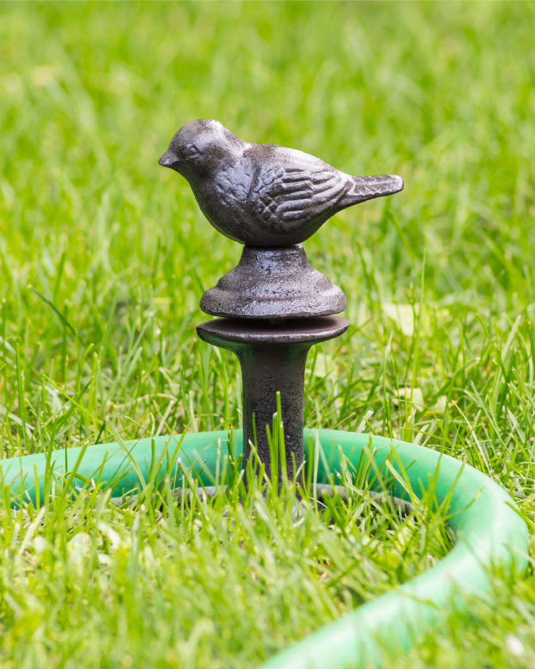 Add some character to your spring garden with our cheeky signs and playful critters! Crafted from sturdy cast iron, these pieces can hide keys, secure hoses, perch on planters, and more. 🐦‍⬛🐞🐿️⁠