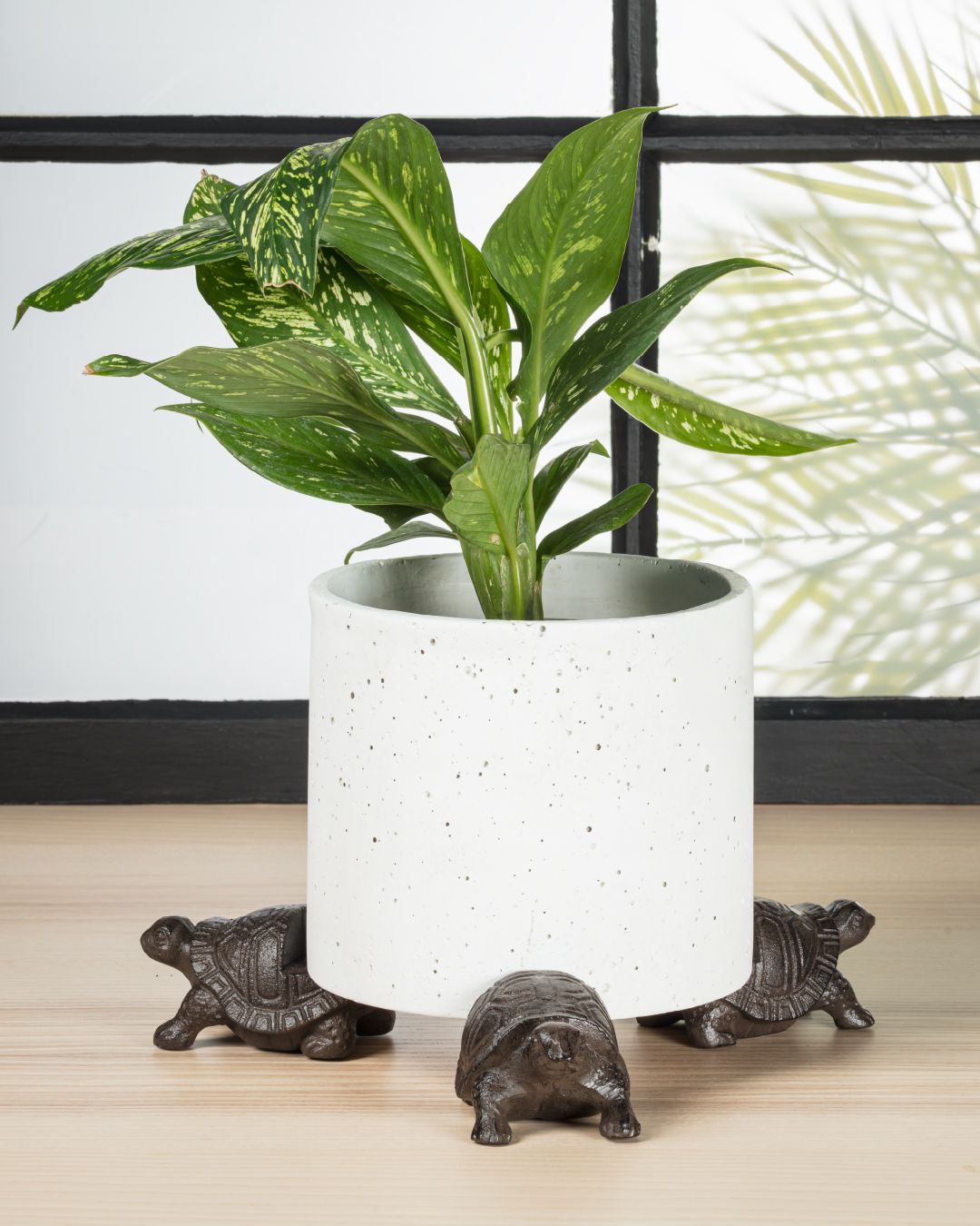 It’s turtle time for the home and garden. Our playful pieces will bring a nature-inspired, seaside feel to your shop. Remember, slow and stylish wins the race! 🐢🐢🐢⁠